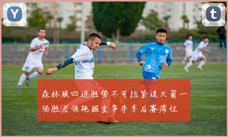 森林狼四连胜势不可挡紧追火箭一场胜差领跑掘金争夺季后赛席位