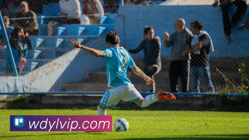 问鼎娱乐官网APP 封面图